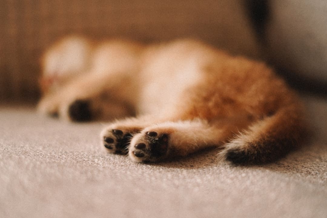 《子夜归》徐凯是干什么的?